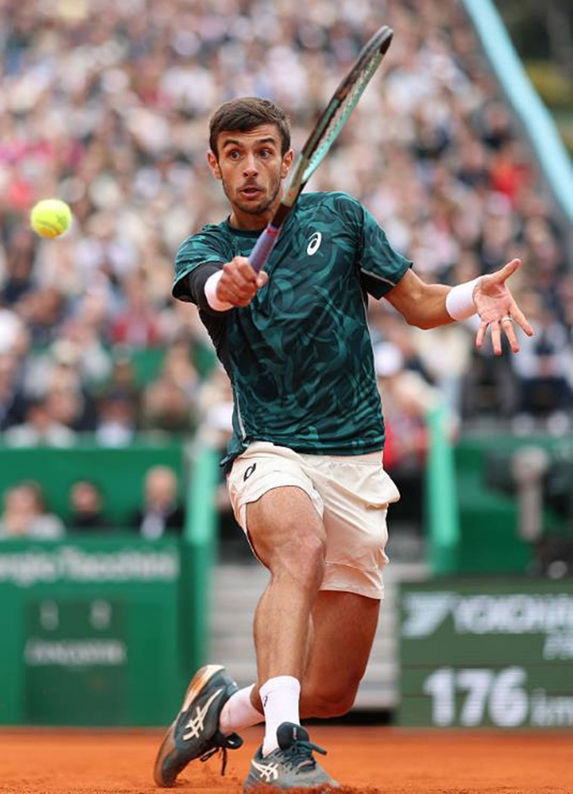 兼具象征意 兼具象征意